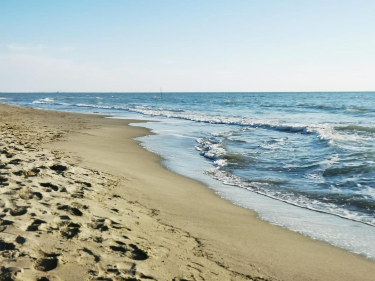 Appartamento In Villa A Tirrenia, Eleganza E Comfort A Pochi Passi Dal Mare Pisa Exteriér fotografie